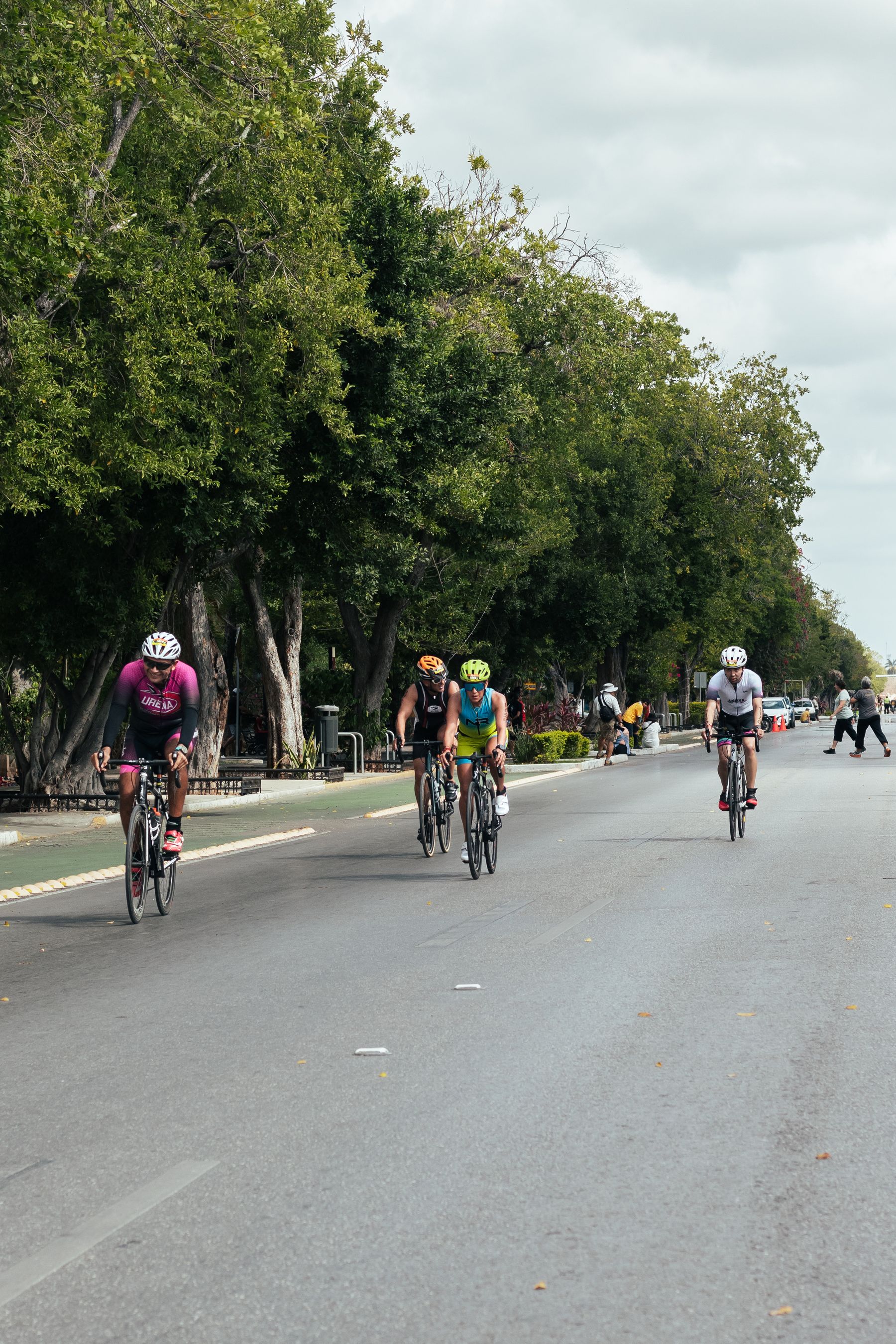 Ciclisti su una strada alberata